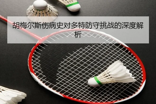 胡梅尔斯伤病史对多特防守挑战的深度解析